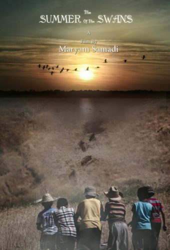 Maryam Samadi- The Summer of the swans (5)
